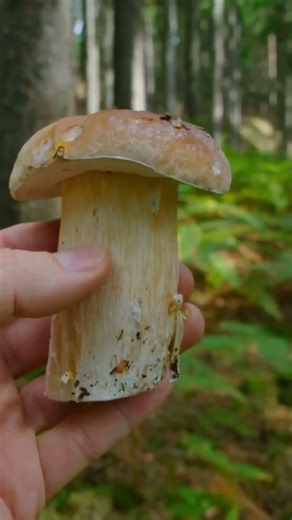 Fronteggiare la crisi economica