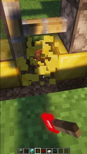 Minecraft Automatic Door🏡🚪