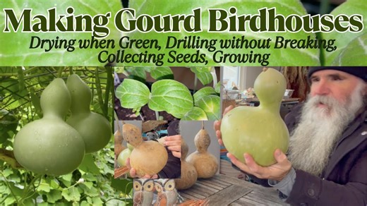 Making a Birdhouse Gourd: Let It Mold? + Sow & Grow Tips