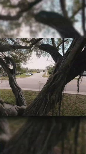 One mistake away from getting hit by my drone #fpv #drone #learning