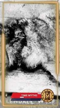 The Hexham Heads: Unveiling England’s Haunted Stone Skulls