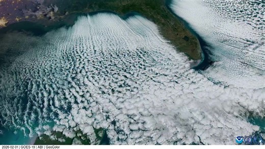 Check out this stunning view from the NOAA GOES-EAST satellite! 🛰️🌊 Ever heard of "cloud streets"? These striking lines form when bone-chilling cold air marches over relatively warm ocean waters. That massive temperature gap forces warm, humid air to rise rapidly, creating these beautiful patterns and—in some cases—precipitation. ☁️❄️ It’s the same science behind "lake effect" snow in the Great Lakes! This past weekend, it even triggered "ocean effect" snow flurries along Florida’s west coast.
