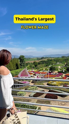 Immersive Flower Experience at Flora Park Wang Nam Khiao, Thailand