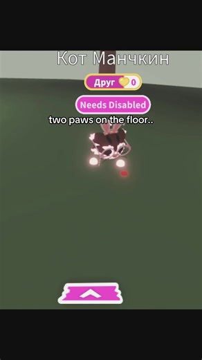 munchkin cat #adoptme #реки #говрек