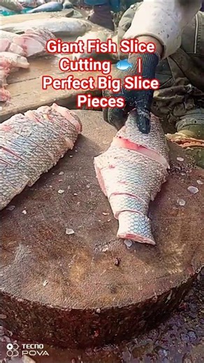 Giant Fish Slice Cutting 🐟 #FishSlice #FishCutting #SeafoodShorts #BigFish #KnifeSkills