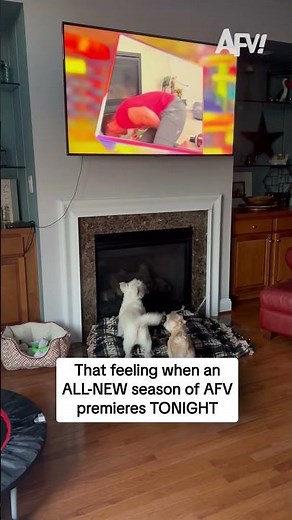 That feeling when an ALL-NEW season of AFV premieres TONIGHT