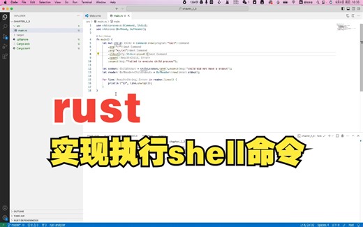 rust 实现执行shell命令