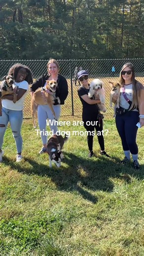 Did you know that WGC has a pup club? 🐶 Our amazing ambassador Tianna hosts monthly meetups for our fur moms and doggies 🤍 A little throwback to our first WGC Pup Club Meetup at Tanglewood Dog Park! #winstongirlsclub #wgcpupclub #dogmoms #dogmomsnc