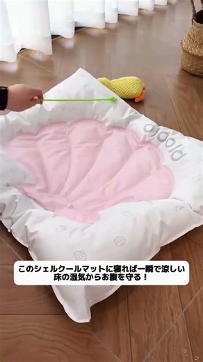 夏に犬が暑くて床に伏せて舌を出してる、床はお腹が熱い？この冷却マットを敷けば一瞬で涼しくなる！ #冷却マット #夏対策 #暑さ対策 #熱中症対策 #犬のいる生活