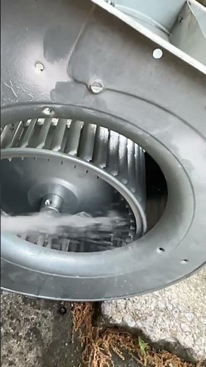 Blower fan cleaning, HVAC blower wheel sanitizing #atlanta #hvac #airduct #airconcleaner