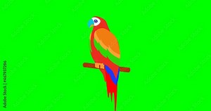 Parrot bird looping animation cartoon on green screen