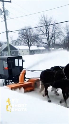 The Amish Have a Brilliant Solution for Snow Removal #farming #genius #trending