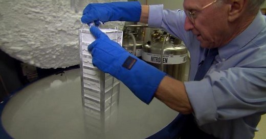 Immunotherapy: A new weapon against cancer