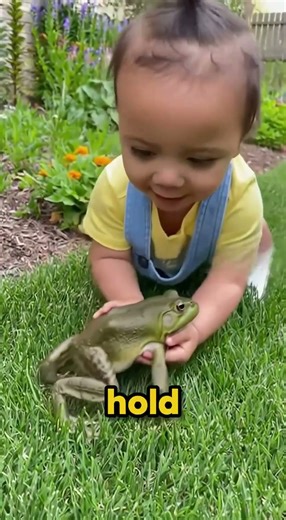 You Won't Believe How Big This Frog Is!