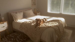 mariah !!!! :D on Instagram: "Official bedroom tour in my new apartment😍🏠 (featuring the star of the video!) - - - - - - - - #relax #relaxing #asmr #asmrmouthsounds #asmrwhispering #apartmenttour #bedroomtour"