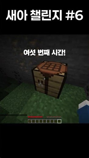 조약돌 - MInecraft[New Item Challenge] #shorts