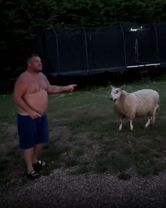 968K views · 10K reactions | We're saving lives!  | The Smithy Family | Facebook