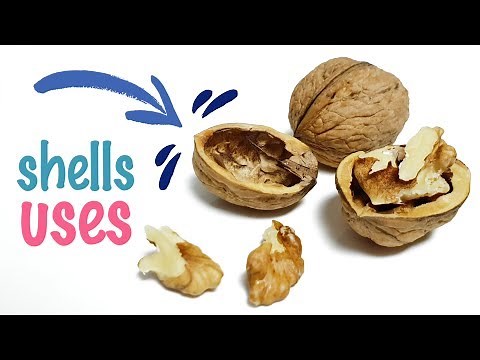 8 Walnut Shells Uses And Applications - How To Use Walnut Shells
