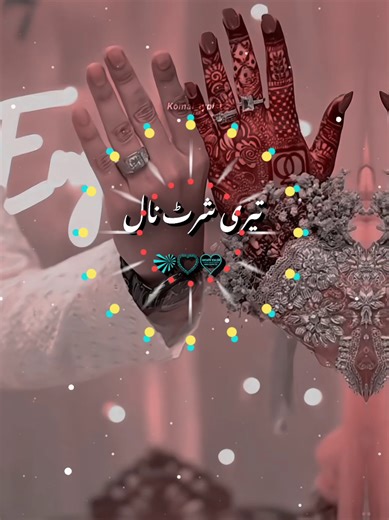 Resolving TikTok Views Issues for Video Success