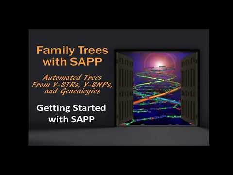 Getting Started with SAPP