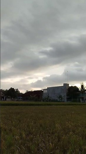 house #naruto #sasuke #boruto #anime