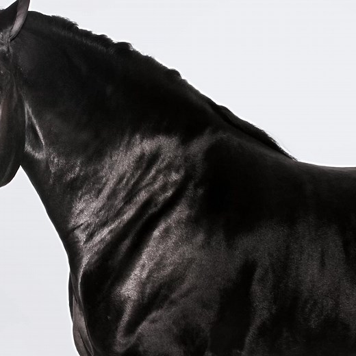 Cavalier jewelry, where harnesses, buckles and bits are transformed into precious objects with the house's creative know-how. #HermesJewelry | Hermès