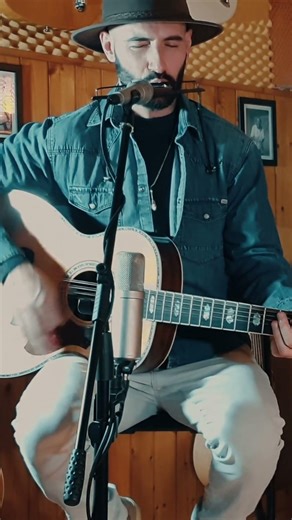 Country blues harmonica solo with my 12 string guitar #guitar #acoustic #harmonica #folkblues