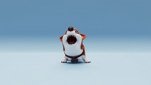 3d Animation Cute Corgi Dog Barking Stock Footage Video (100% Royalty-free) 3473237383 | Shutterstock