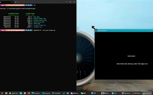 example for pyglet RePositionFrame