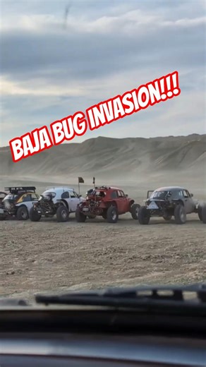 baja bug gathering 2026 | ocotillo wells