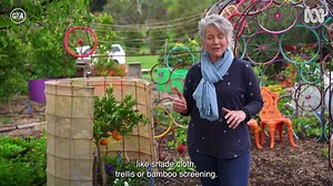 Protect your plants from wind