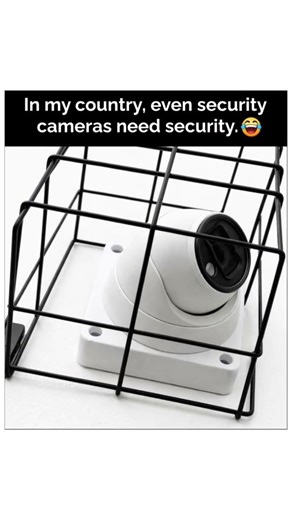 security also needs security🫠#trending #memes #funny #reels #fyp