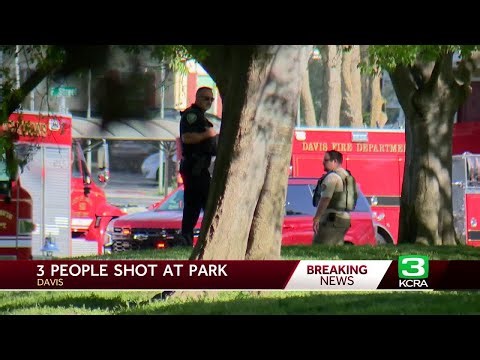 2 teens and a 24-year-old injured in Davis shooting on Picnic Day