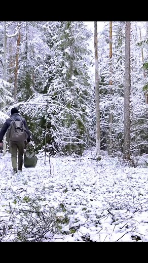 Solo Camping Survival Skills for Outdoor Adventures