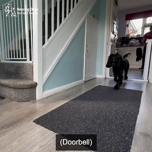 15K views · 849 reactions | River has just started learning how to...