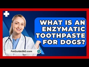 What Is An Enzymatic Toothpaste For Dogs? - PetGuide360.com