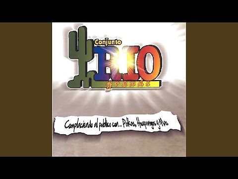 A Ritmo de Huapango