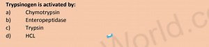 Trypsinogen is activated by:a) Chymotrypsinb) Enteropeptidase... | Filo