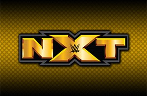 Official NXT Theme Songs Now On YouTube Channel, Current NXT Diva Gets Name Change, New Matchup Announced
