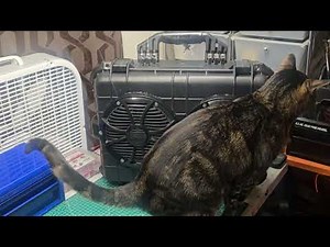 Apache 4800 With 8in Wet Sounds Speakers