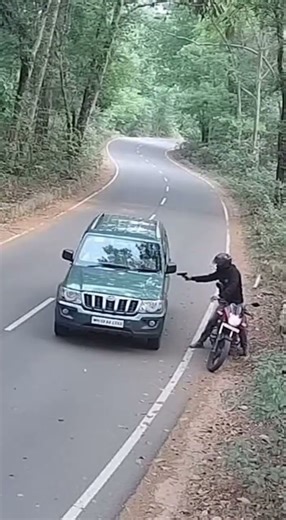 Robber’s Attempt Turns Shocking on Forest Road – Caught on CCTV #tiger #sora #ai