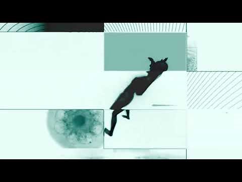 Multi- Screen Display X-ray - Touchdesigner