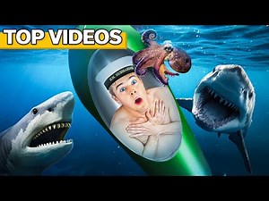 I Face the TOUGHEST SURVIVAL Challenges! | Jeremy Hutchins