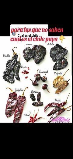 Todo sobre el chile puya: sabor y características