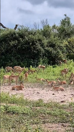 Botswana, Kasane