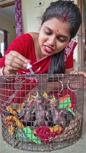 The little baby birds are going to have lunch. #comedy #birds #comedyrelief #mothergoose #birdmen