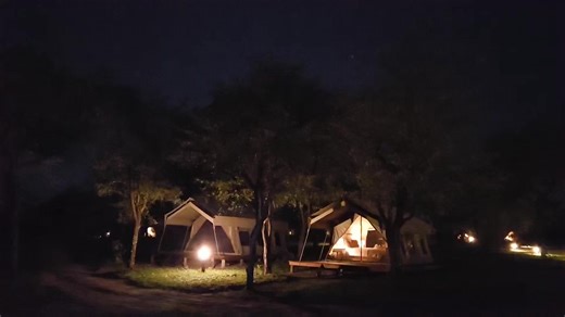 Vocalization. The fiery-necked nightjar is best known for its very distinctive song. It consists of a series of mellow notes that many say sounds like "Good Lord, deliver us deliver us deliver us". This song is often preceded by a wind-up call. | Kruger Magazine