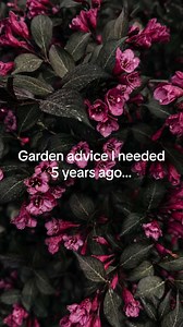 Garden Design Tips for Beginners: 9 Practical Rules