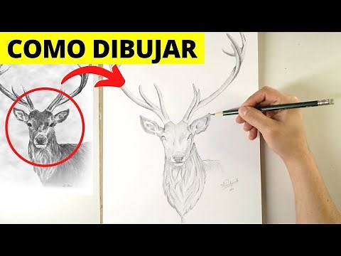 🥇 HOW TO DRAW A REALISTIC DEER IN PENCIL ✅ Realistic deer drawing step by step