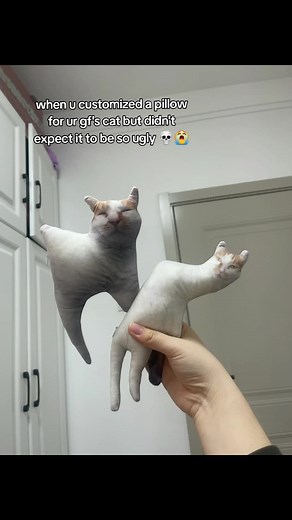 Custom Cat Pillow | Personalized Cat Accessories